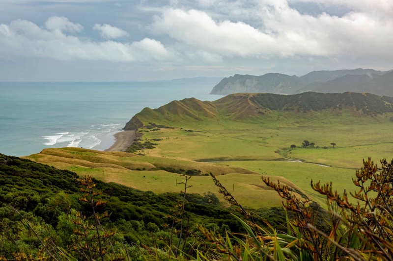 1 / 1 – A view from the top of the East Cape hill, New Zealand stock photo 