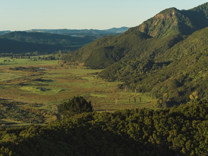 East Cape New Zealand manuka and kanuka production