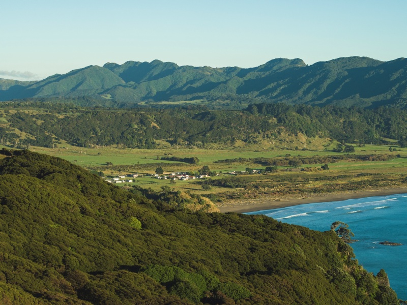 East Cape New Zealand manuka oil production